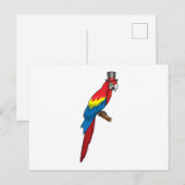 Papegaai als heer met hoed briefkaart (Voorkant / Achterkant)