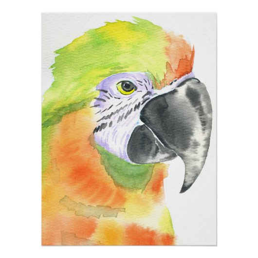 Papegaai aquarel perfect poster (Voorkant)