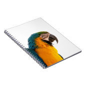 Papegaai ara   notitieboek (Rechterzijde)