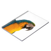 Papegaai ara   notitieboek (Linkerzijde)
