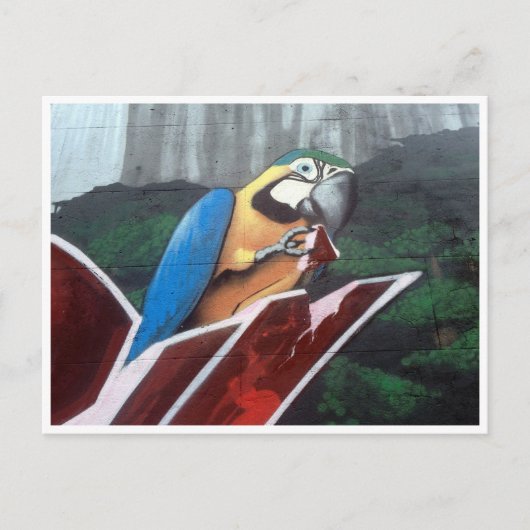 papegaai briefkaart (Voorkant)