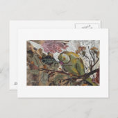 papegaai briefkaart (Voorkant / Achterkant)