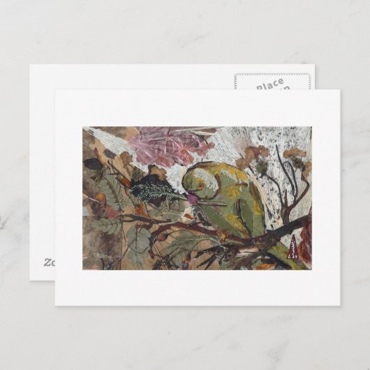 papegaai briefkaart (Voorkant / Achterkant)