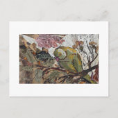 papegaai briefkaart (Voorkant)