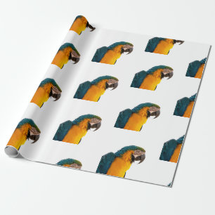 Papegaai Cadeaupapier