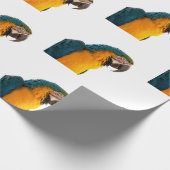 Papegaai Cadeaupapier (Hoek)