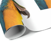 Papegaai Cadeaupapier (Rol Hoek)
