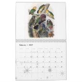papegaai, collectie van vogels kalender (Feb 2027)