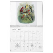 papegaai, collectie van vogels kalender (Jan 2027)