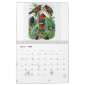 papegaai, collectie van vogels kalender (Mar 2026)