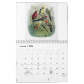 papegaai, collectie van vogels kalender (Jan 2026)