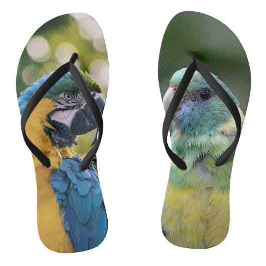 Papegaai Geblokstreepte Teenslippers (Voetbed)