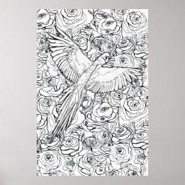 Papegaai Heldereid Poster