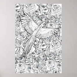 Papegaai Heldereid Poster