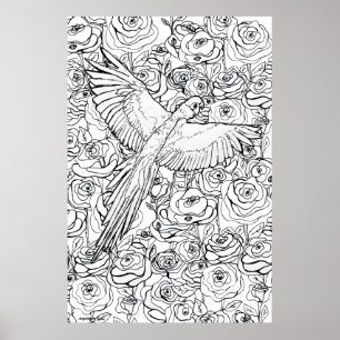 Papegaai Heldereid Poster