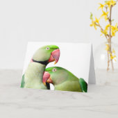 papegaai kaart (Gele Bloem)