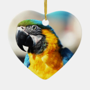 papegaai keramisch ornament