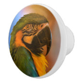 papegaai keramische knop (Rechts)