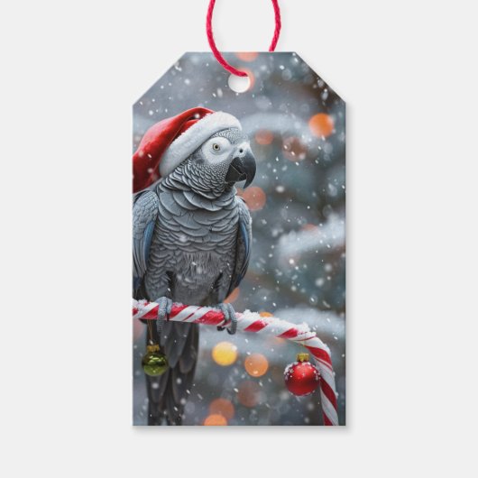 Papegaai Kerstcadeau-etiketjes — Winter Wonder Cadeaulabel (Voorkant)