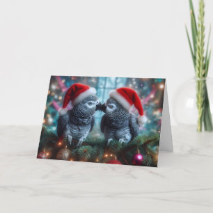 Papegaai Kerstkaart Feestdagen Kaart