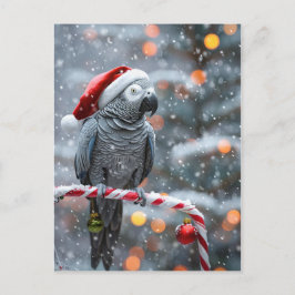 Papegaai Kerstkaart — Winter Wonder Briefkaart