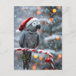Papegaai Kerstkaart — Winter Wonder Briefkaart