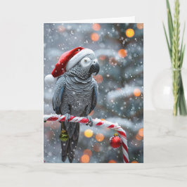 Papegaai Kerstkaart — Winter Wonder Kaart