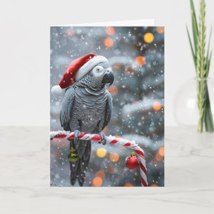 Papegaai Kerstkaart — Winter Wonder Kaart