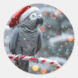 Papegaai Kerststickers — Winter Wonder Ronde Sticker