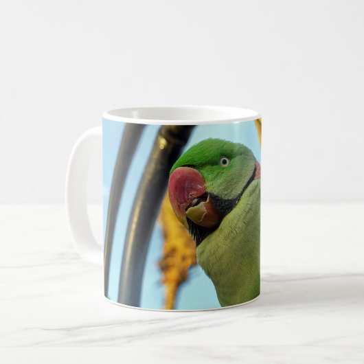 Papegaai Koffiemok (Voorkant links)