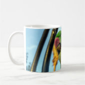 Papegaai Koffiemok (Links)