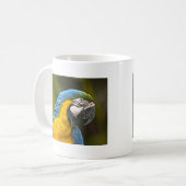 Papegaai Koffiemok (Voorkant links)