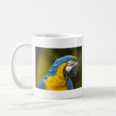 Papegaai Koffiemok (Links)