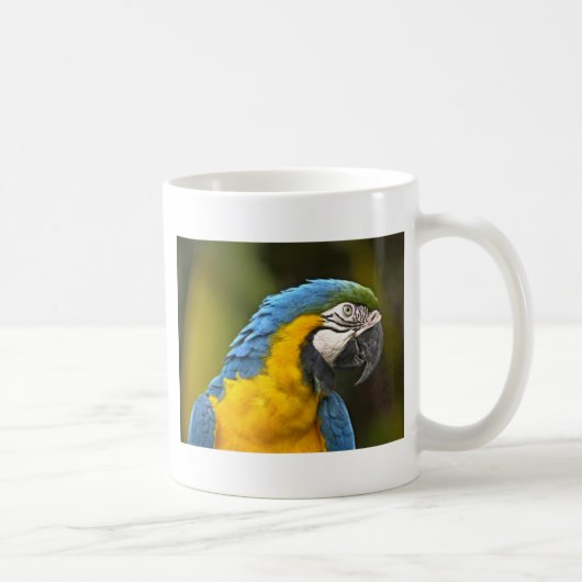 Papegaai Koffiemok (Rechts)