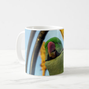 Papegaai Koffiemok