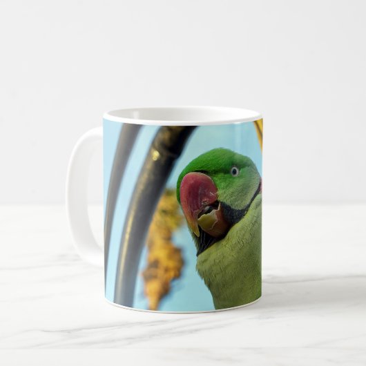Papegaai Koffiemok (Voorkant links)