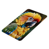 Papegaai Magneet (Linkerzijde)