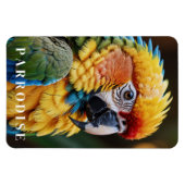 Papegaai Magneet (Horizontaal)