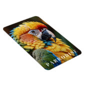 Papegaai Magneet (Rechterzijde)