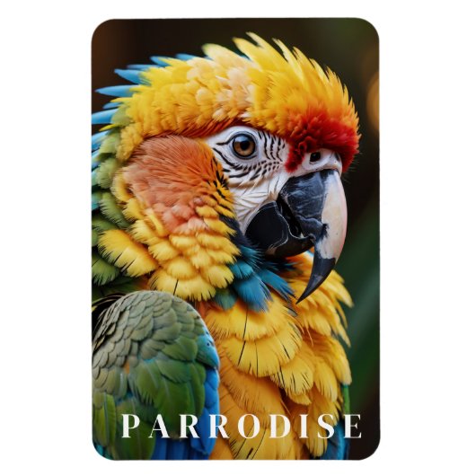 Papegaai Magneet (Verticaal)