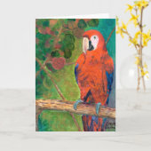 Papegaai met Seagrapes Kaart (Gele Bloem)