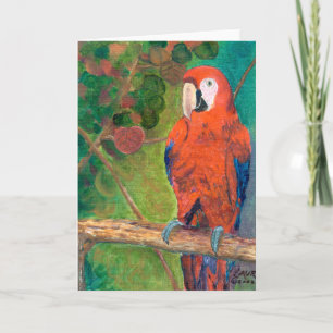 Papegaai met Seagrapes Kaart