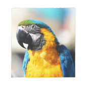 papegaai notitieblok (Voorkant)