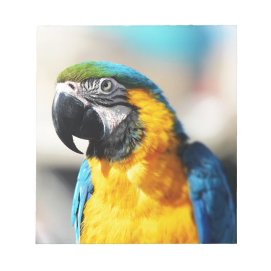 papegaai notitieblok (Voorkant)