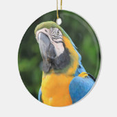 Papegaai ornament (Links)