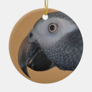 Papegaai Ornament