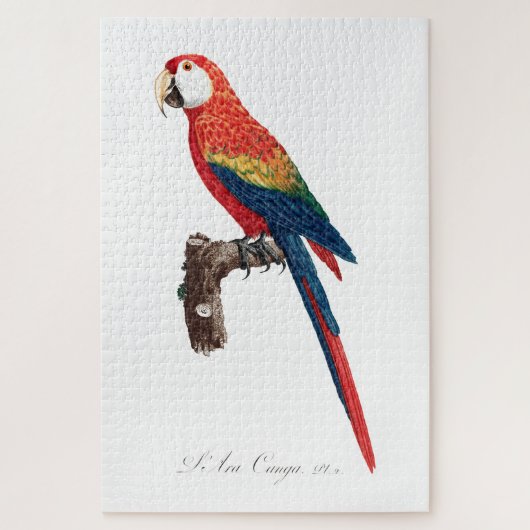  papegaai - Oude illustratie van vogels Legpuzzel (Verticaal)