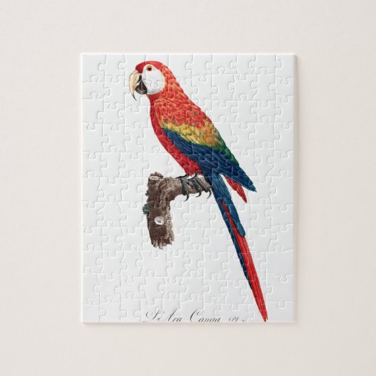  papegaai - Oude illustratie van vogels Legpuzzel (Verticaal)