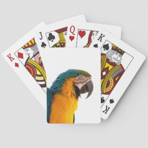 Papegaai pokerkaarten