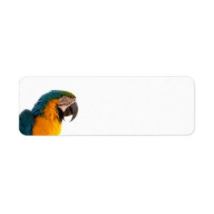 Papegaai Post-it Notities Etiket